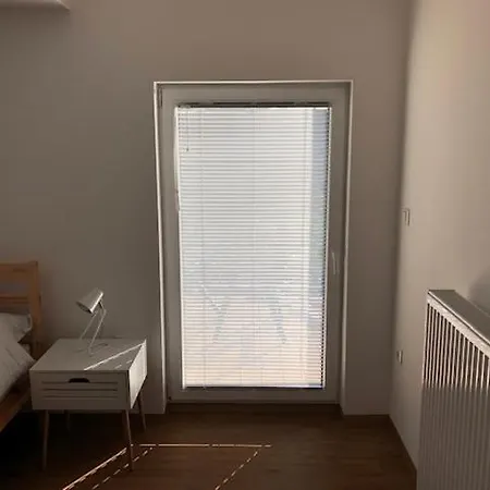 Apartma Na Hueti アパート ラデンツィ